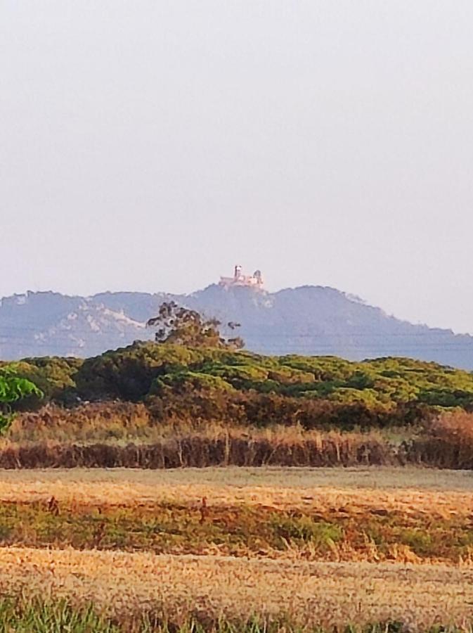 Sintra Home Εξωτερικό φωτογραφία